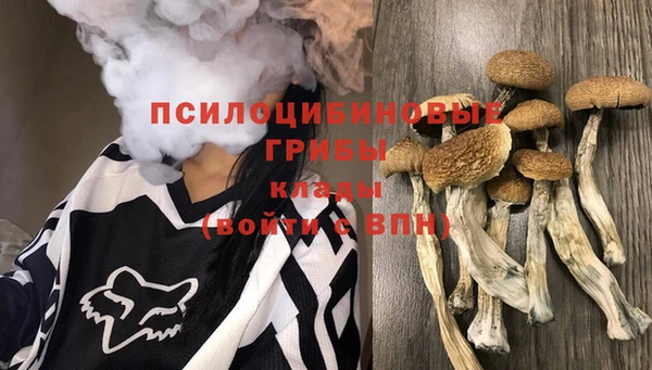 соль курить ск Верея