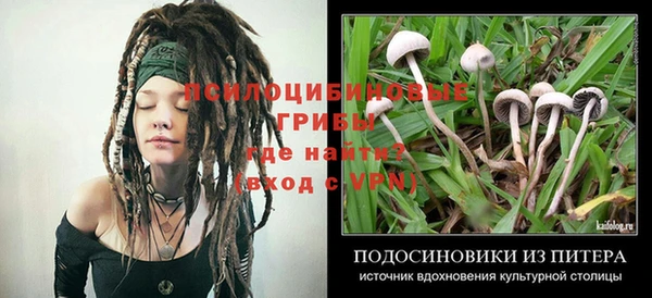 соль курить ск Верея