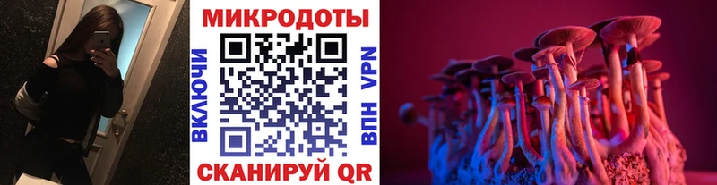 Псилоцибиновые грибы мухоморы  Купить где  Кремёнки 